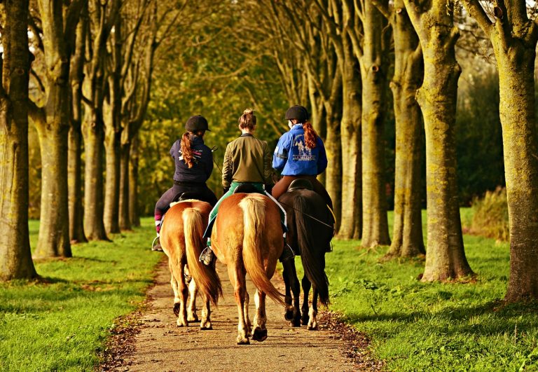 escursioni a cavallo