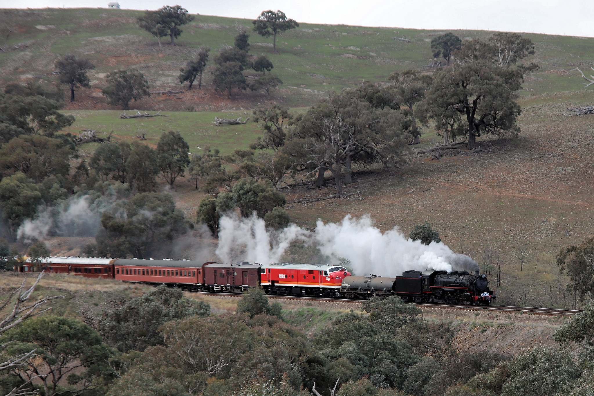 Great Southern Tour