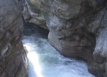 guje di garavot