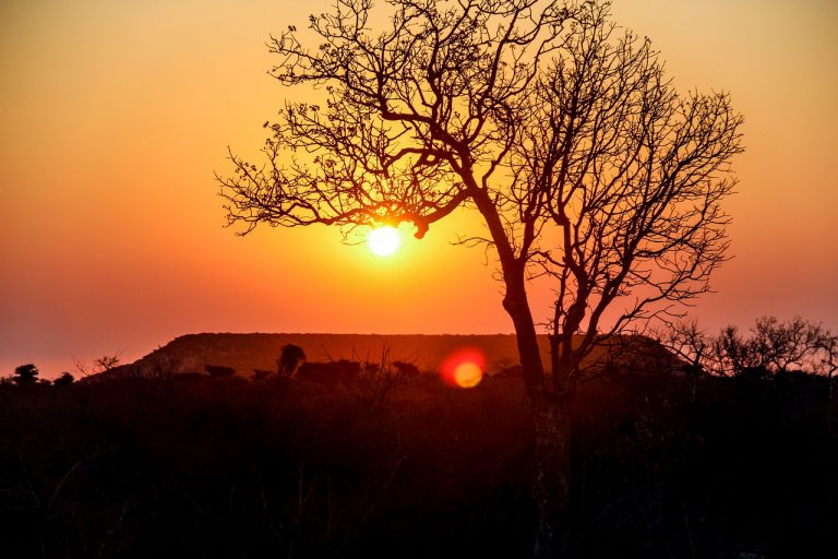 madagascar cosa vedere in 7 giorni