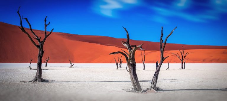 namibia cosa vedere