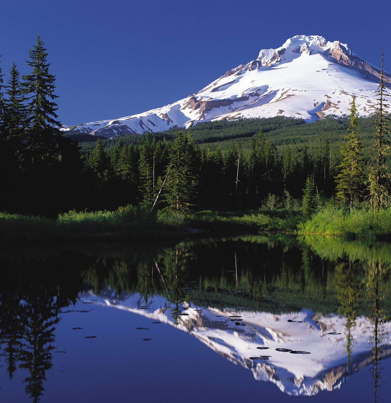 oregon