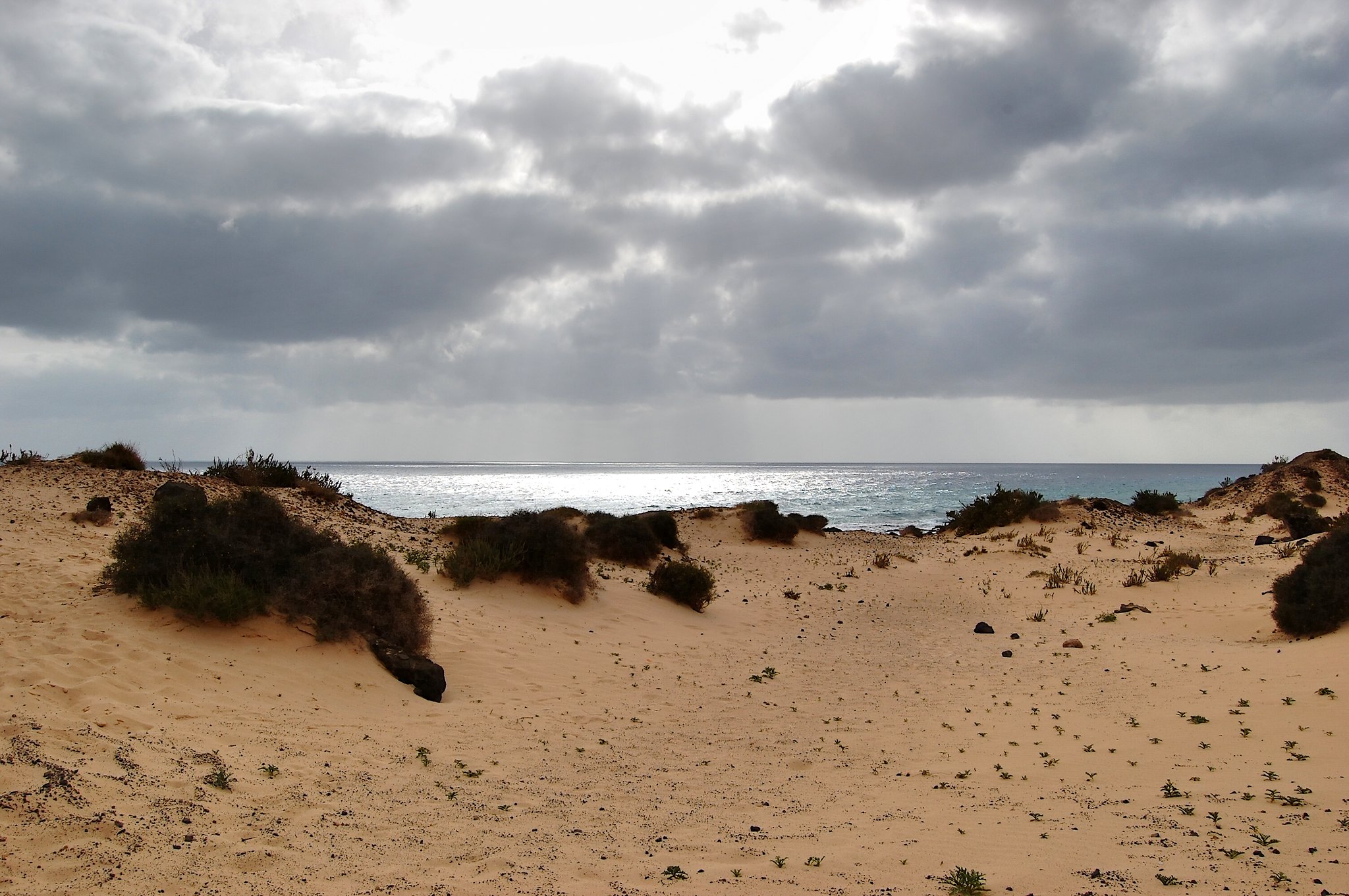 parco naturale di Corralejo