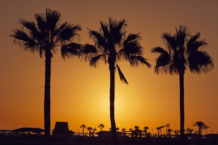 gran canaria cosa vedere con bambini
