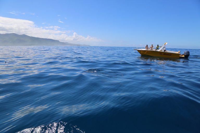 mauritius quando andare