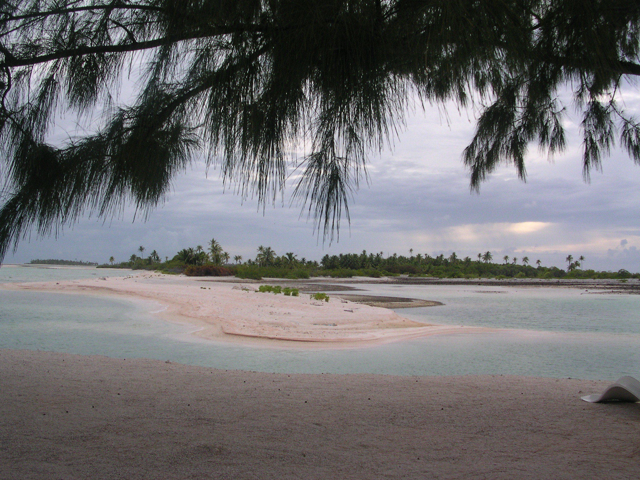 polinesia spiaggia rosa