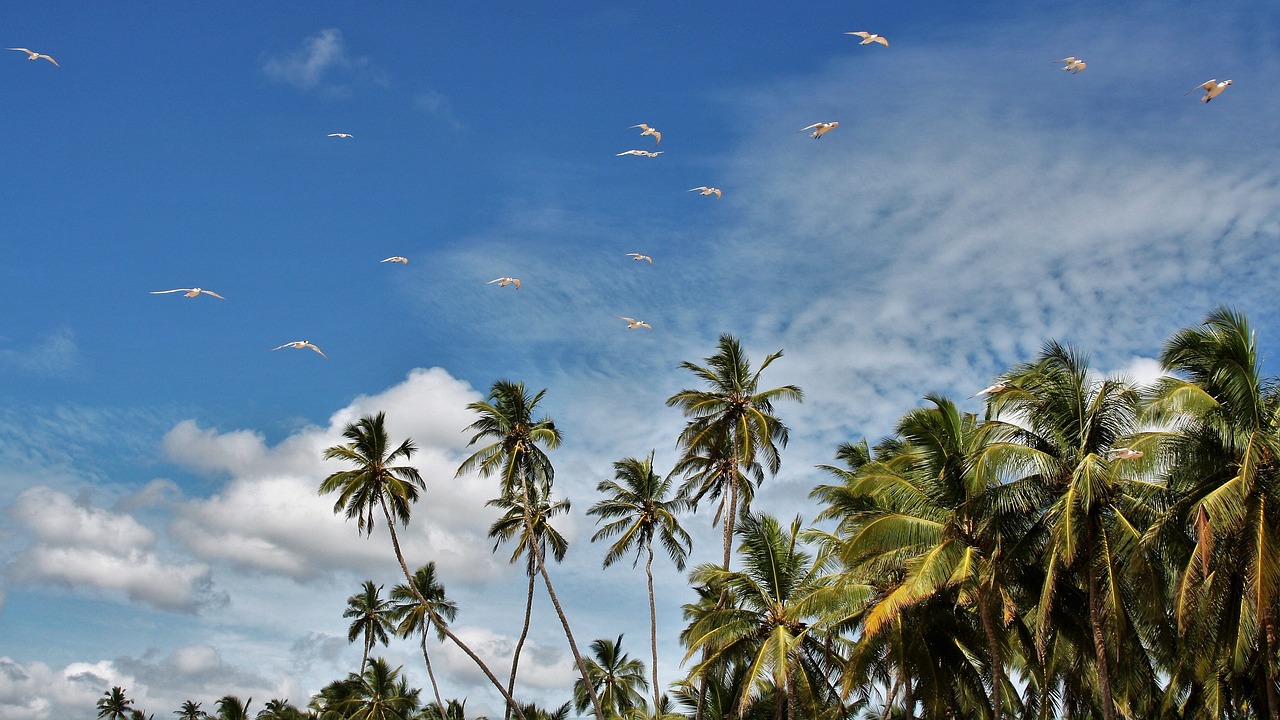 sri lanka quando andare