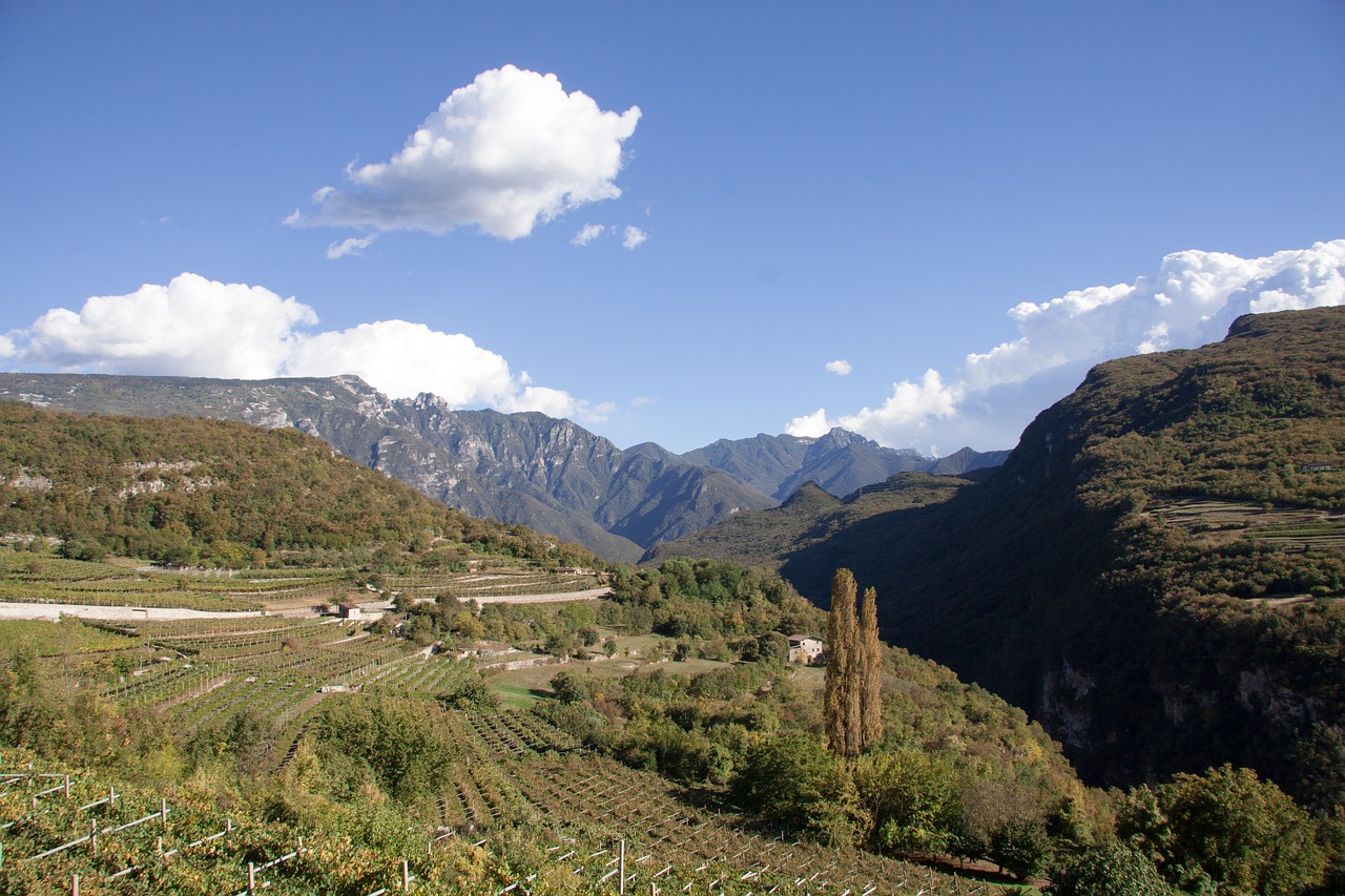 cantine ferrari