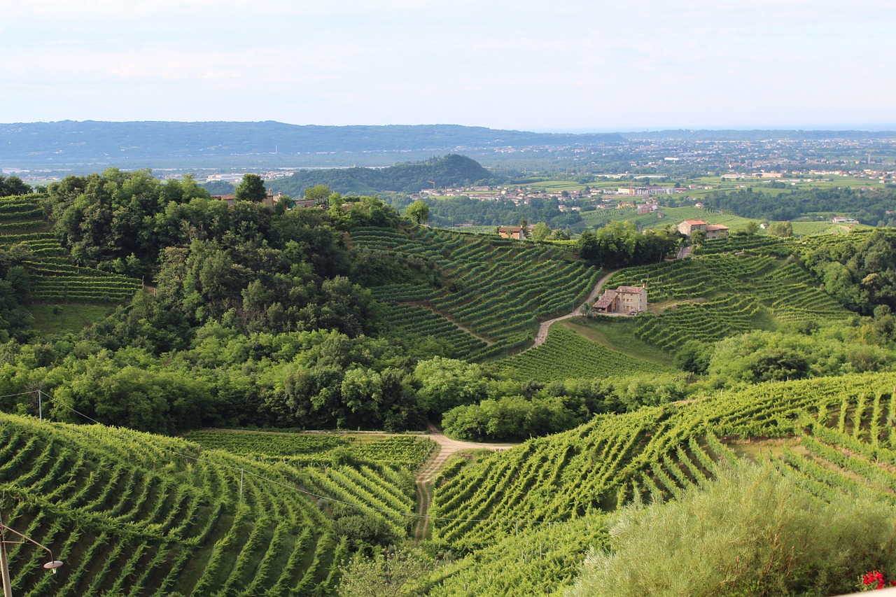 cantine veneto