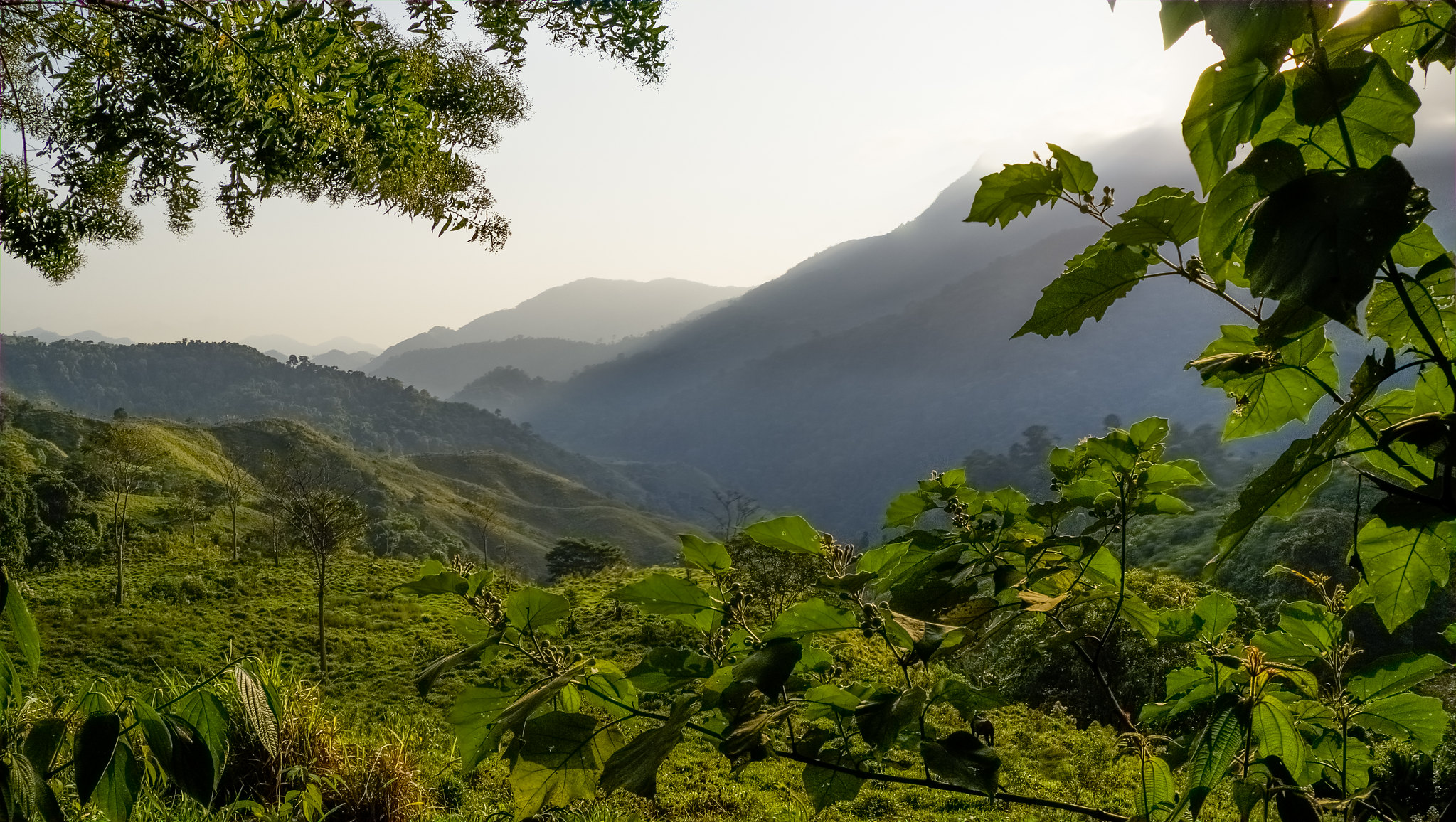 Ciudad Perdida