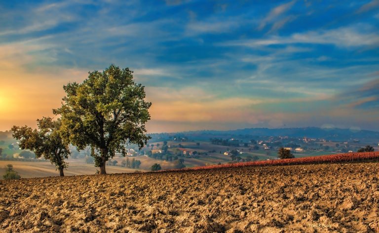 cosa vedere a settembre in italia