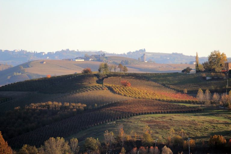 degustazione vini nelle langhe