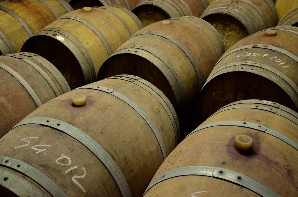 degustazioni vini toscana