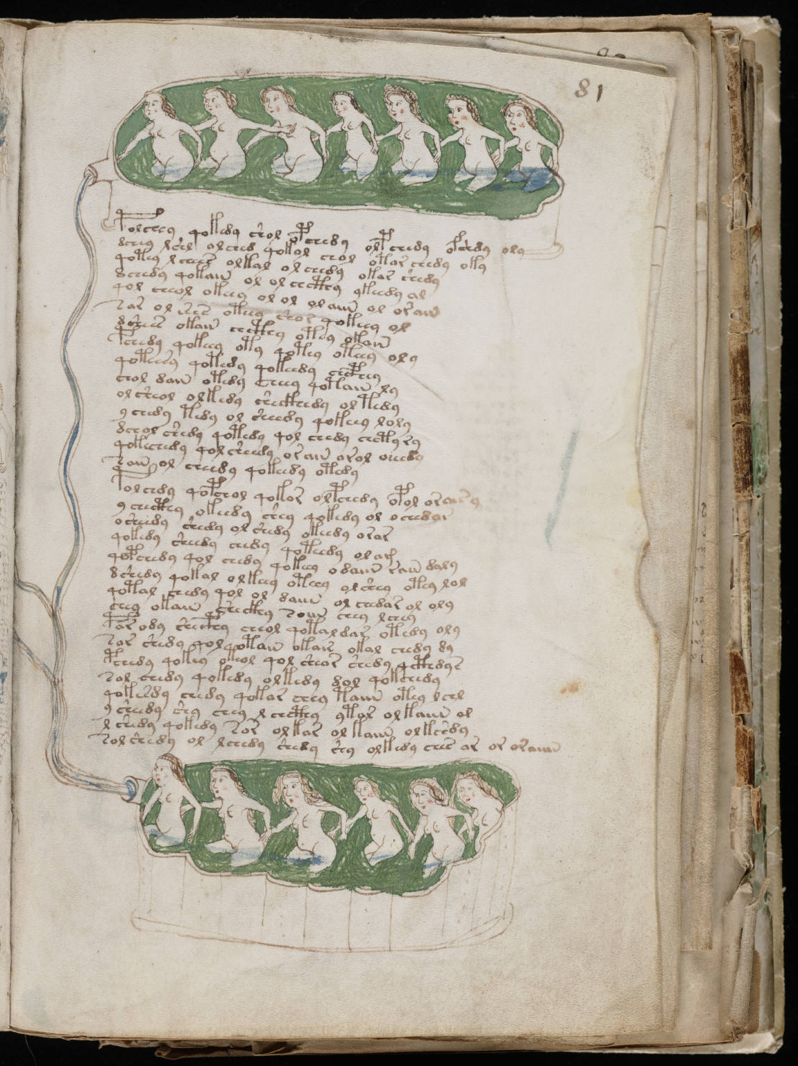 Il Codice Voynich