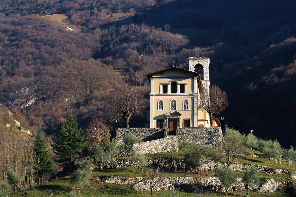 lago d'iseo ulivi