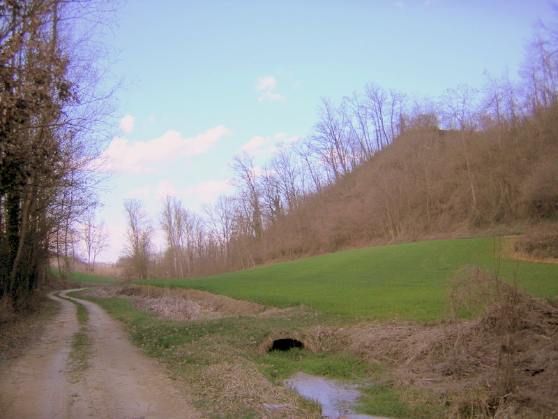Parco Naturale di Rocchetta Tanaro
