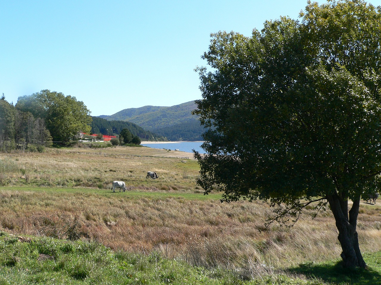 Parco Nazionale della Sila autunno