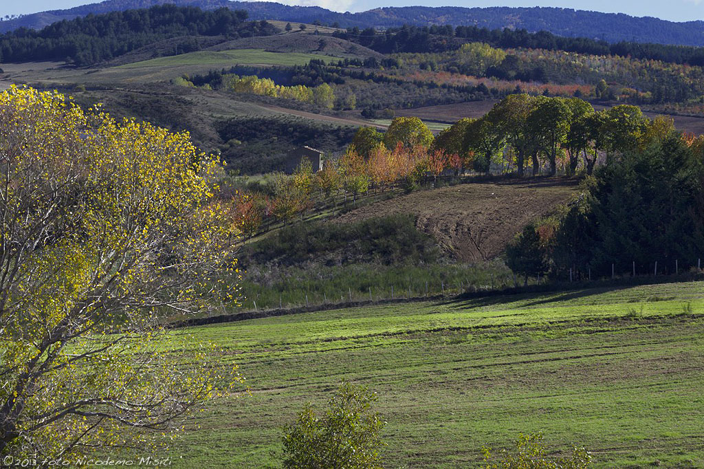 Parco Nazionale della Sila