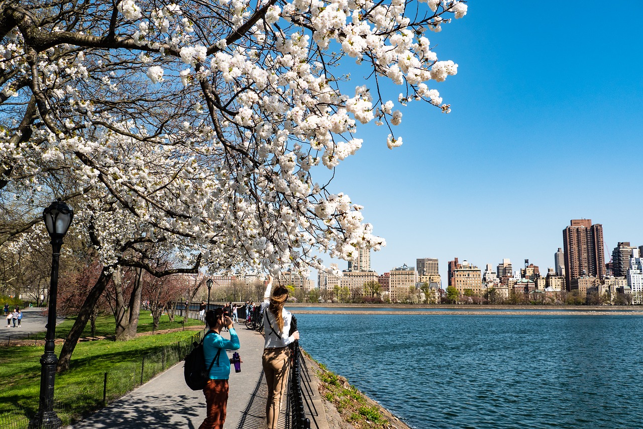 pasqua 2020 a new york