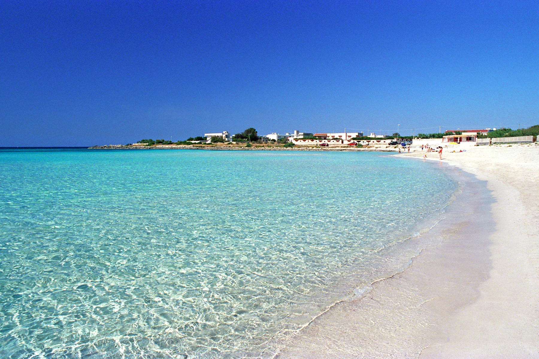 punta prosciutto