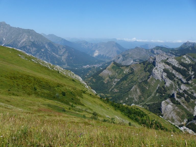 raccolta funghi piemonte