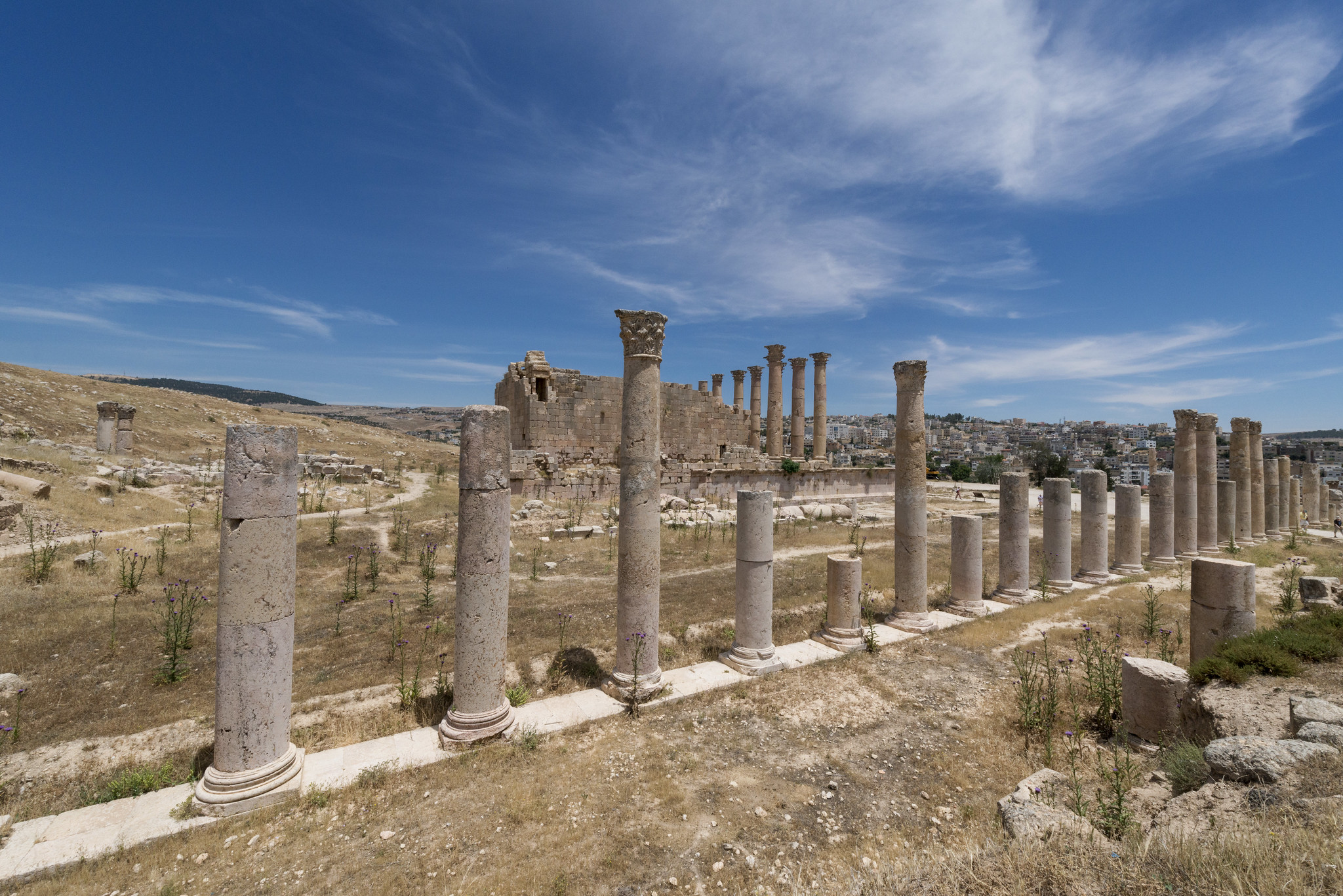 Tempio di Artemide