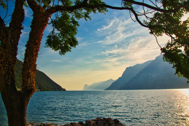 uliveti lago di garda