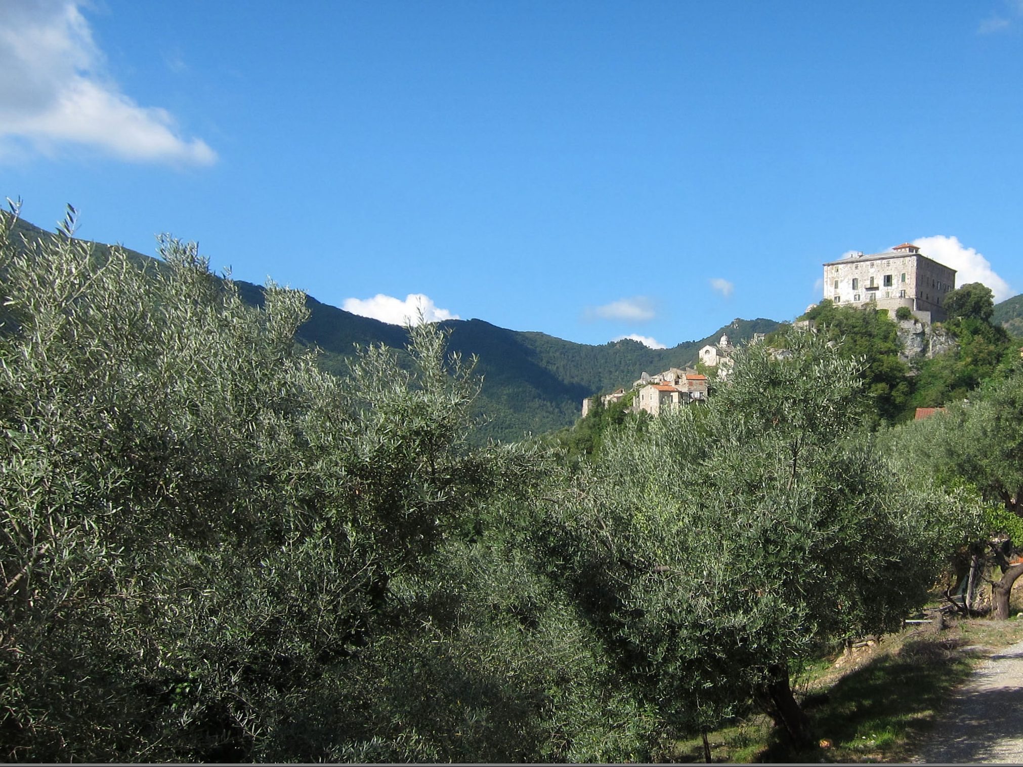 uliveti liguria