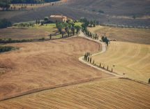 vendemmia settembre