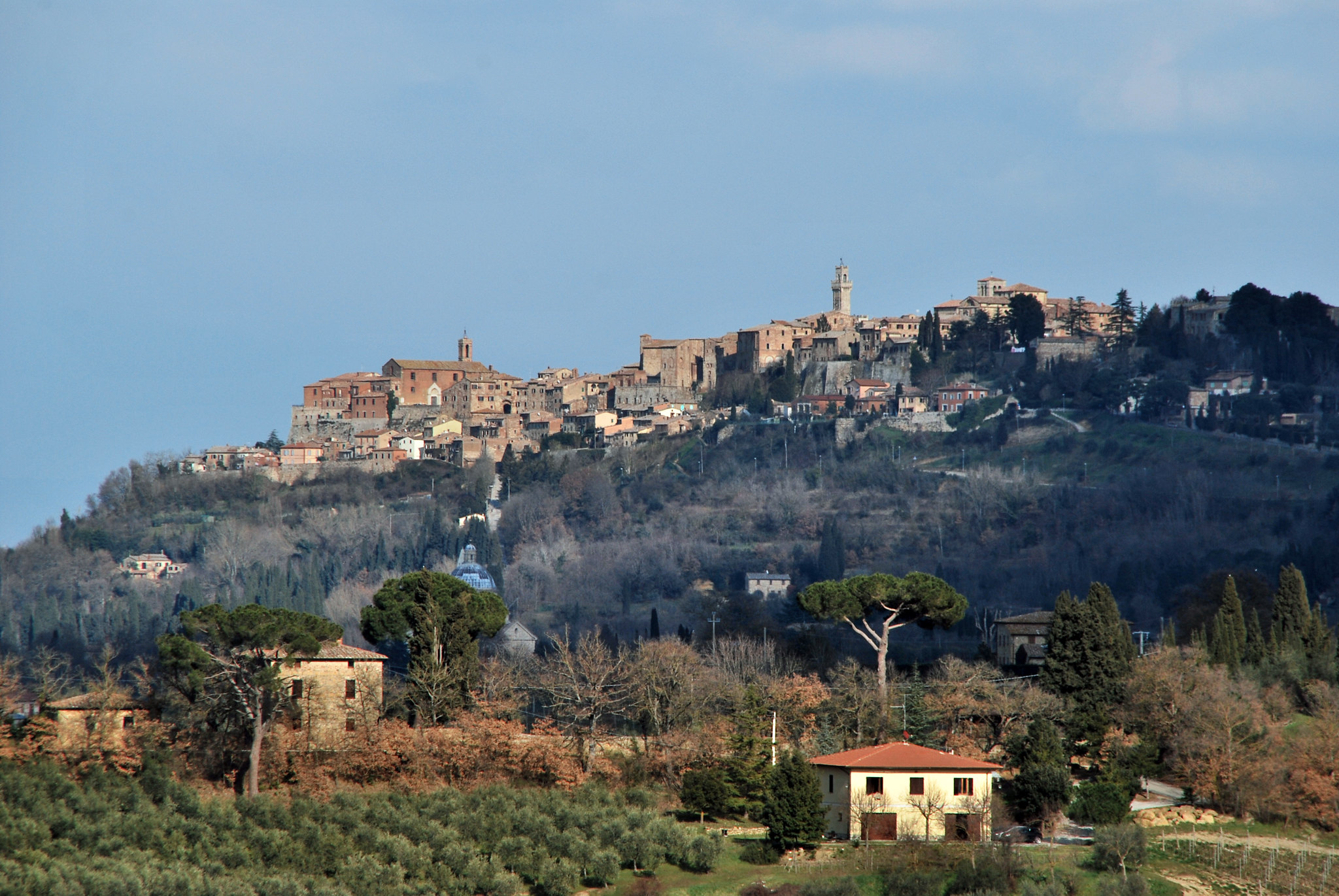 vino montepulciano