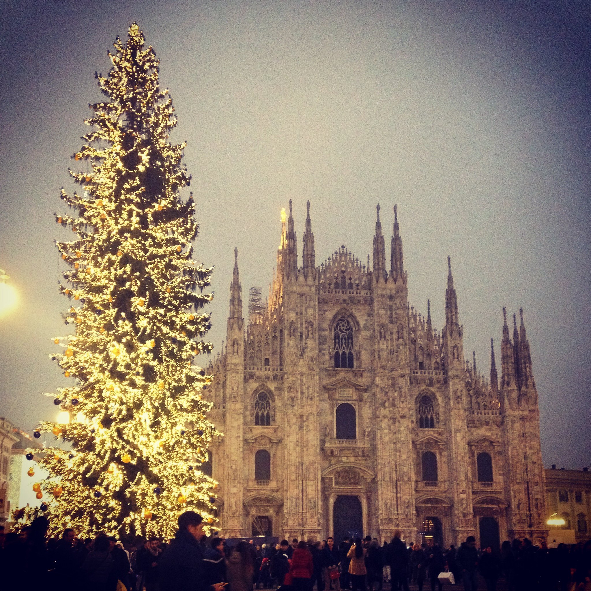 albero di natale duomo