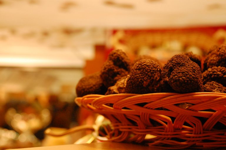 Fiera del tartufo bianco d'Alba 2019