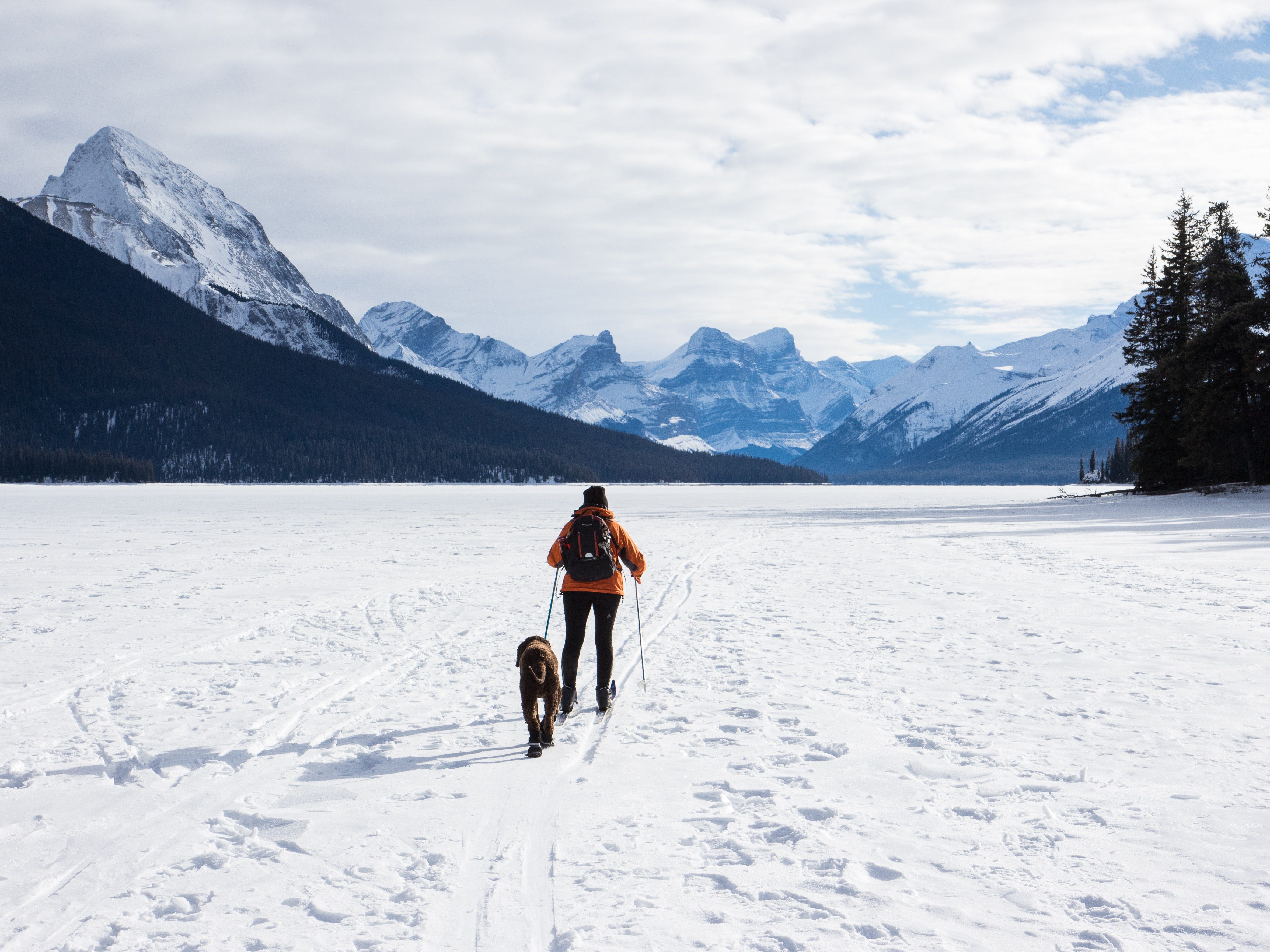 jasper guy dzd o5cnr0y unsplash