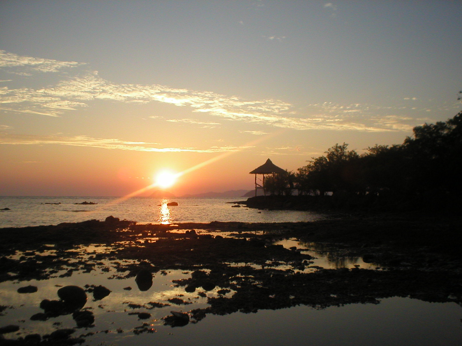 ko mak