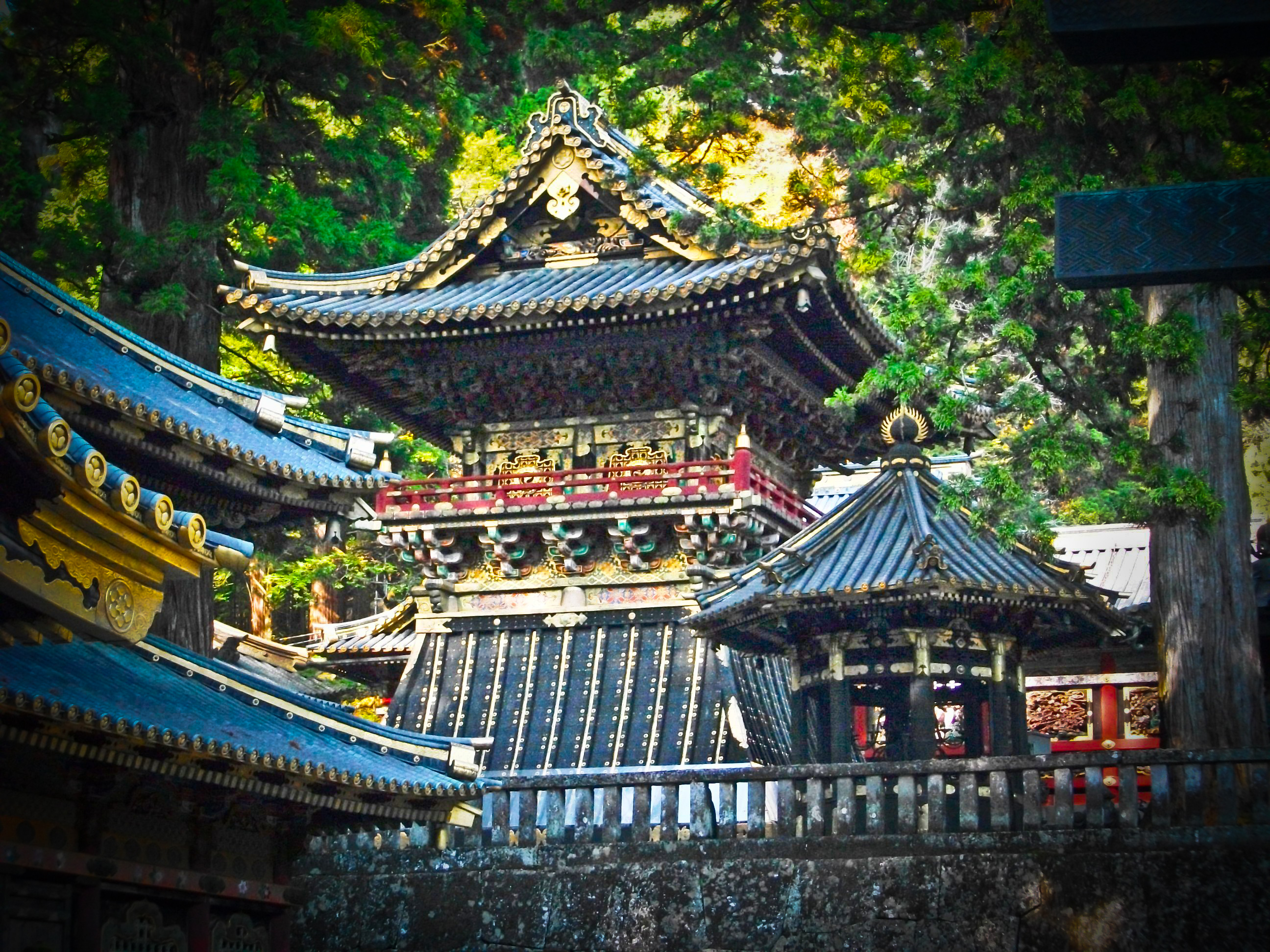 nikko