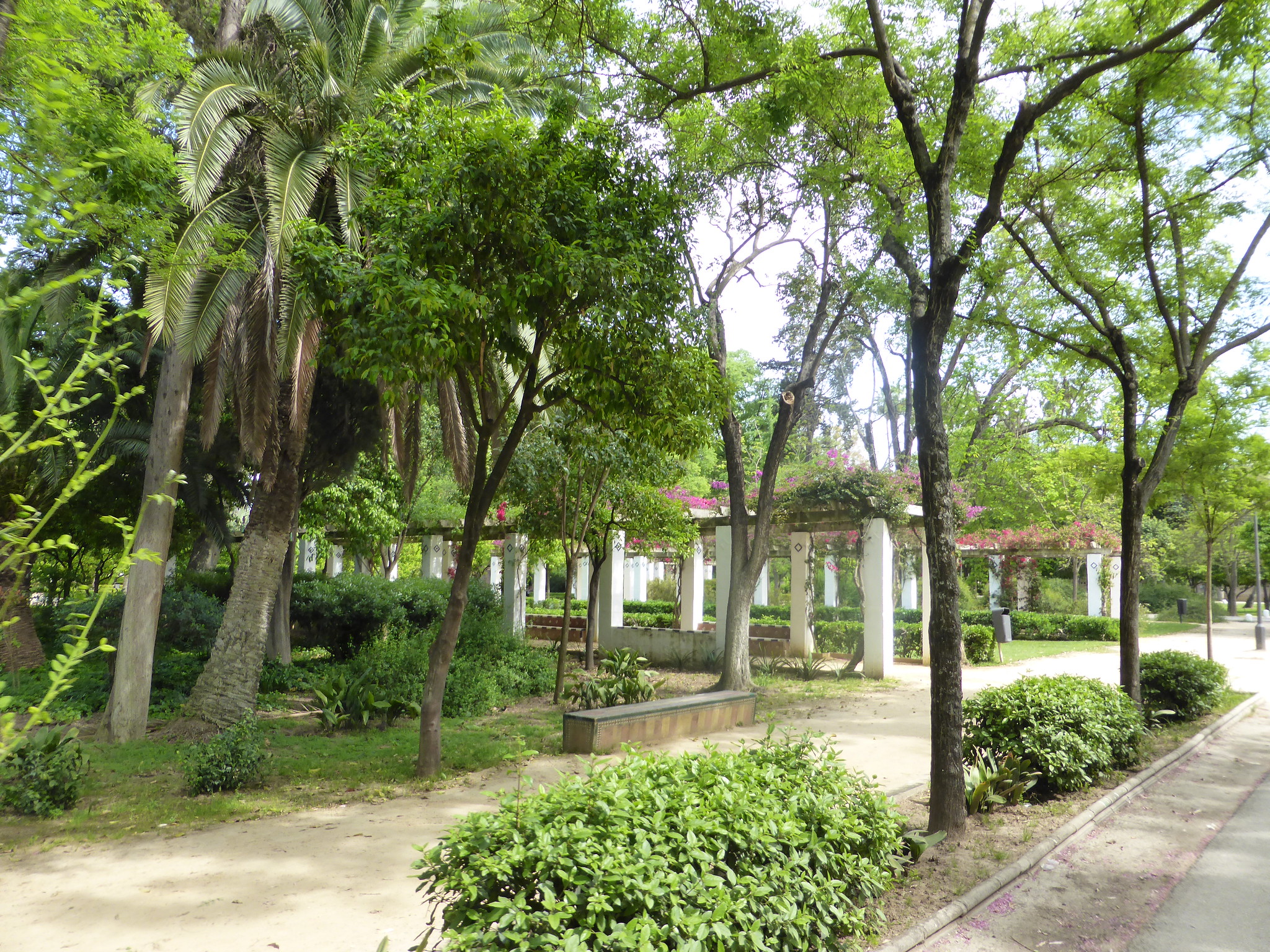 Parco di Maria Luisa