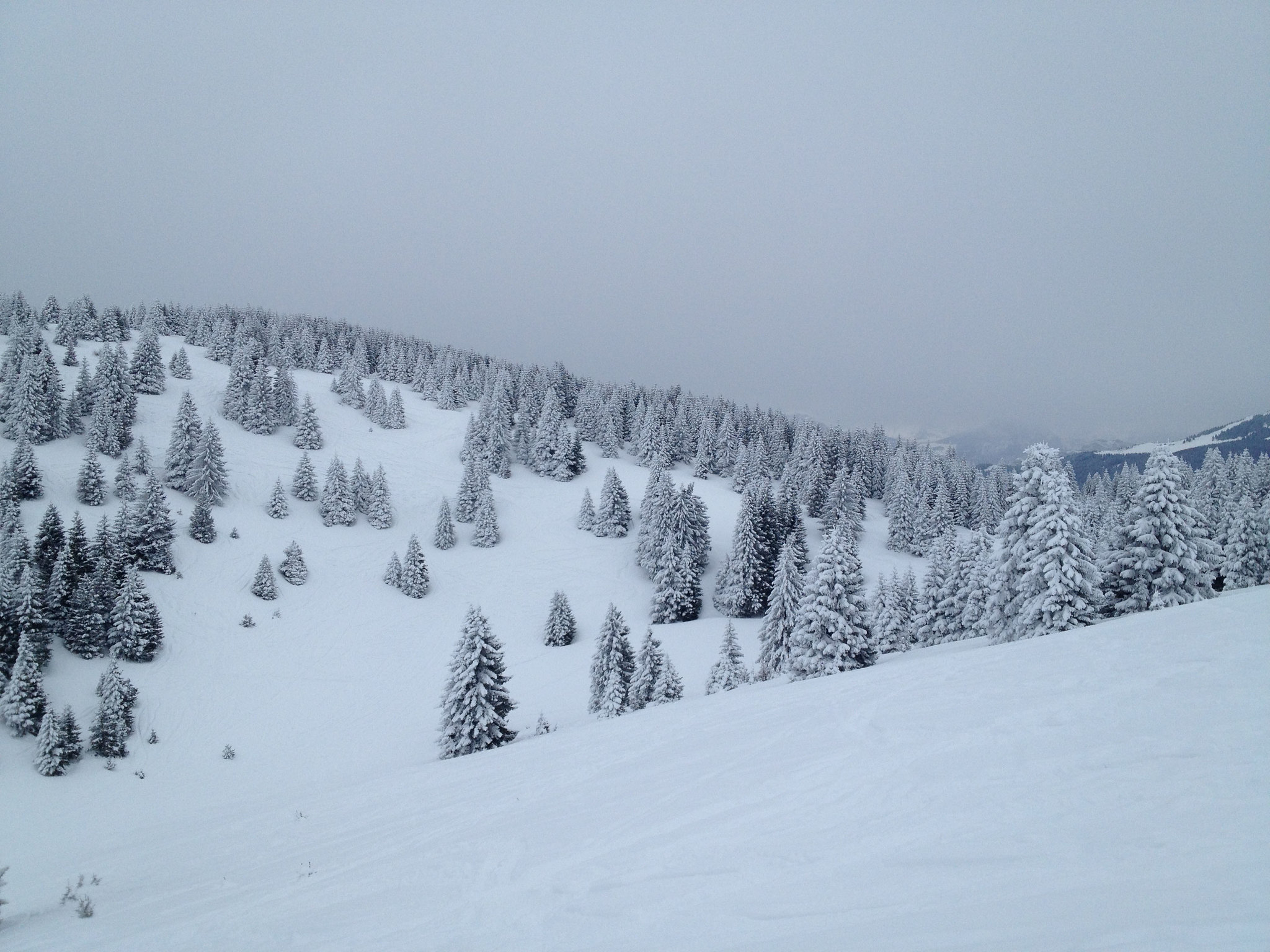 piste da sci a folgaria
