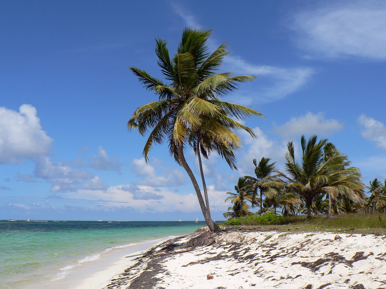 punta cana