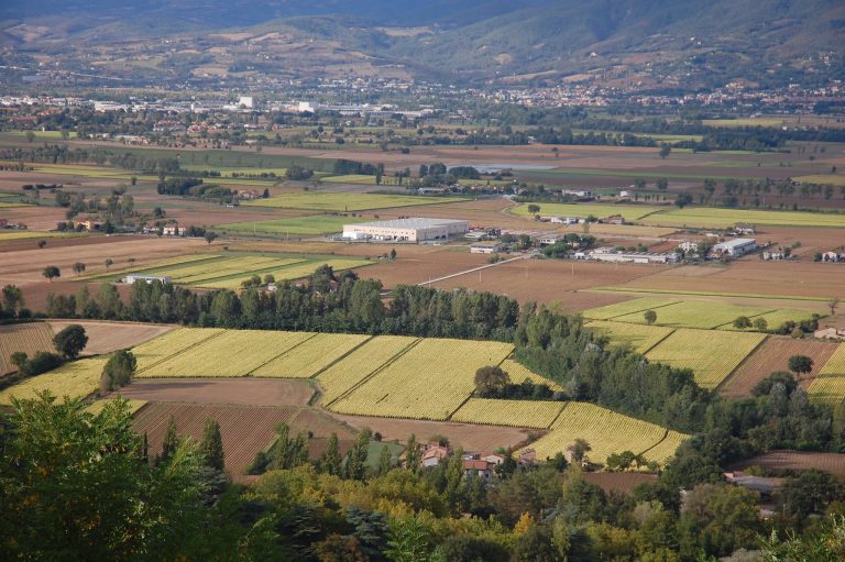 Sagra del tartufo Umbria 2019