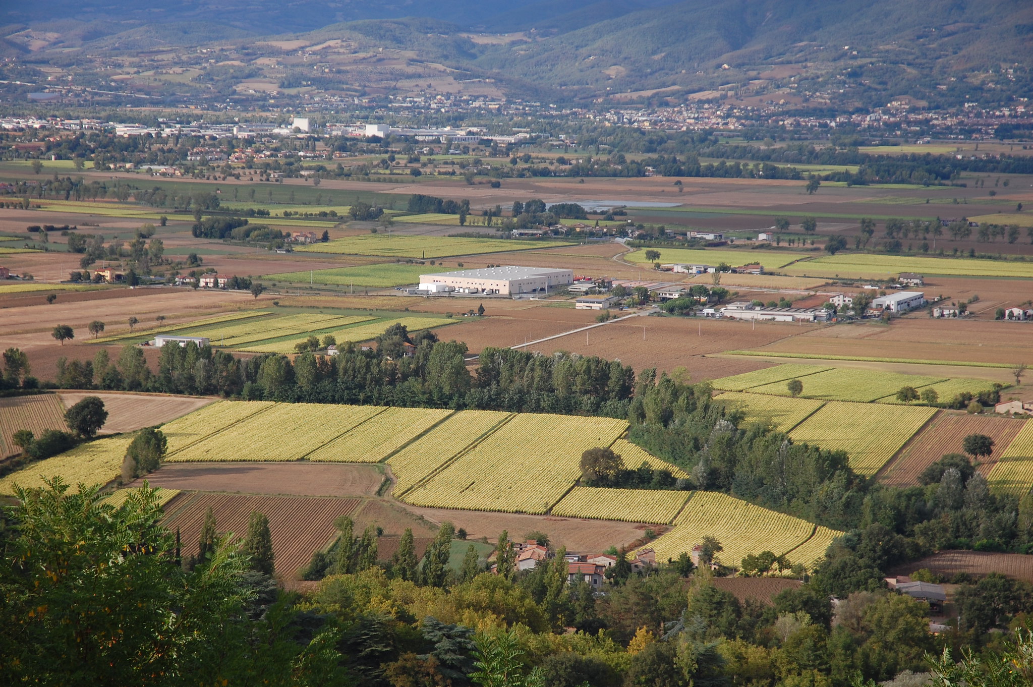 Sagra del tartufo Umbria 2019