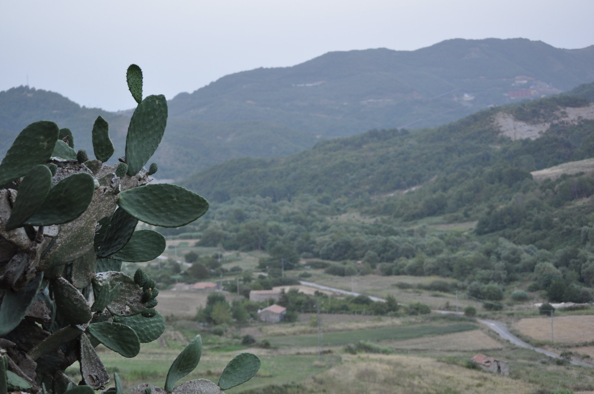 Sant'Agata di Esaro