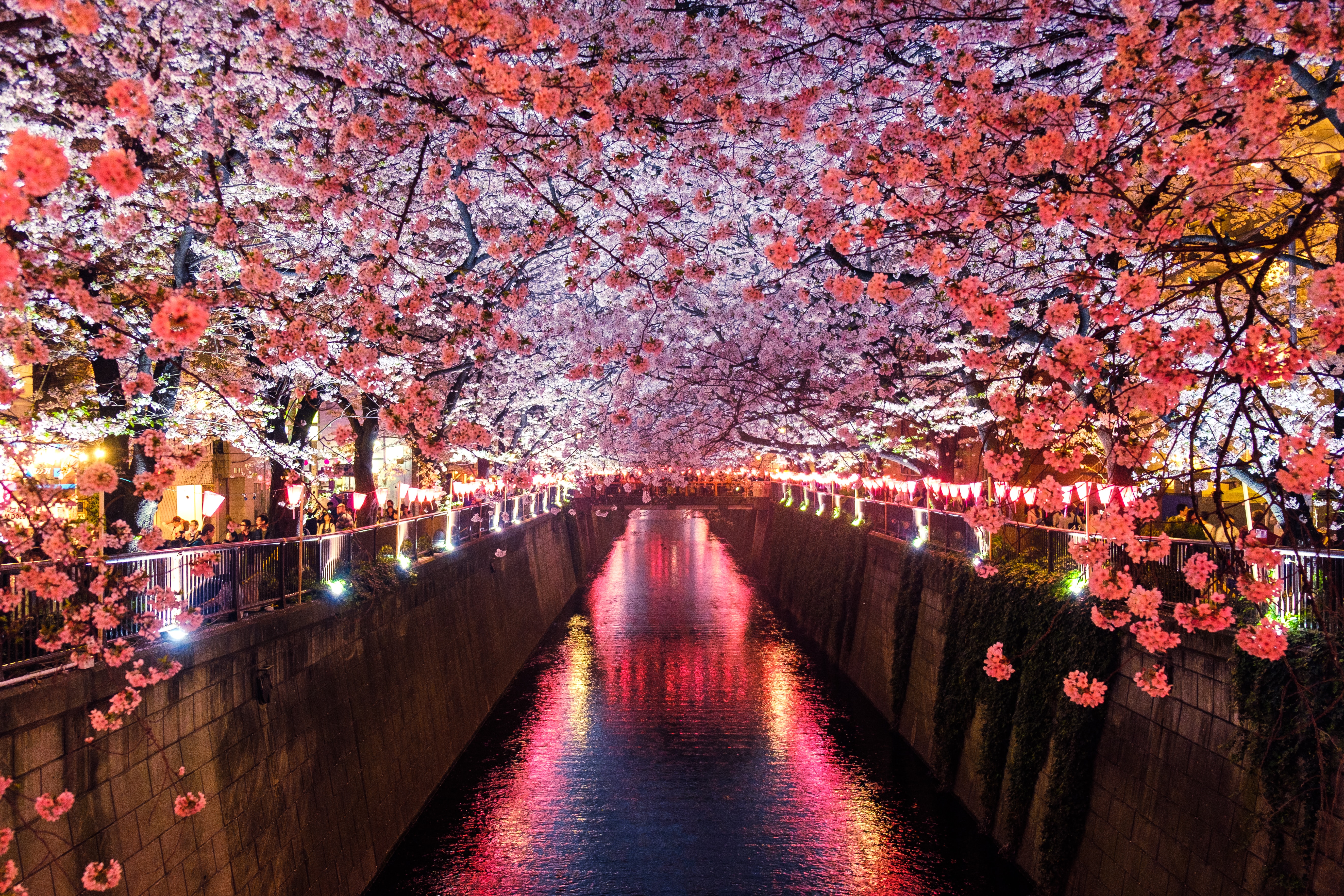 sora sagano 8sozj8jf0s8 unsplash