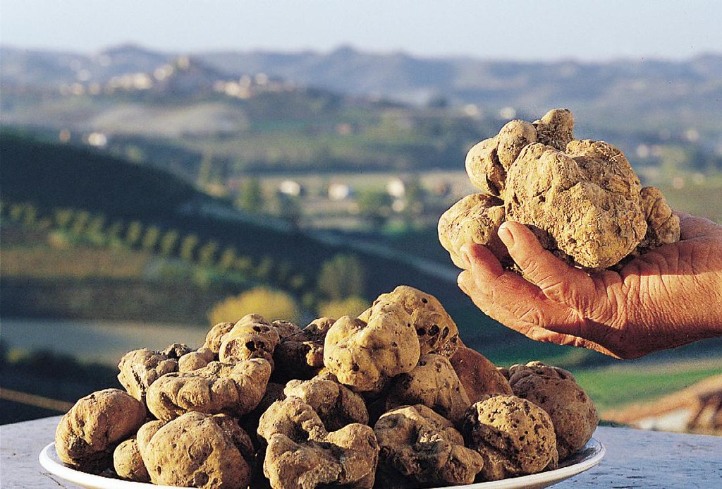 tartufo bianco d'alba