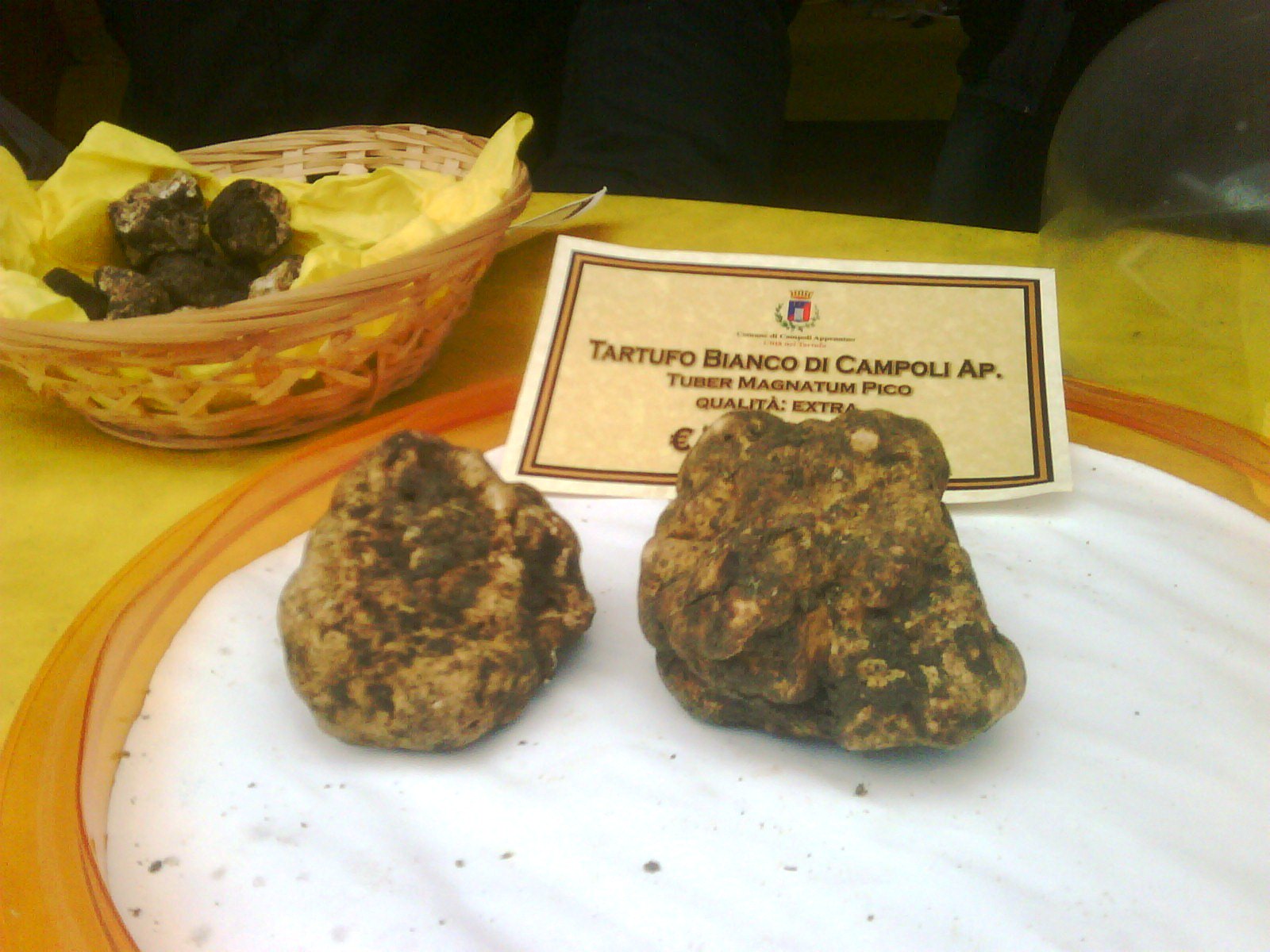 tartufo di campoli appennino