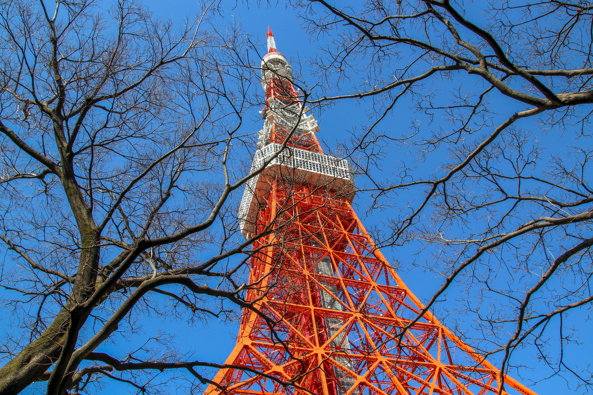 Tokyo Tower