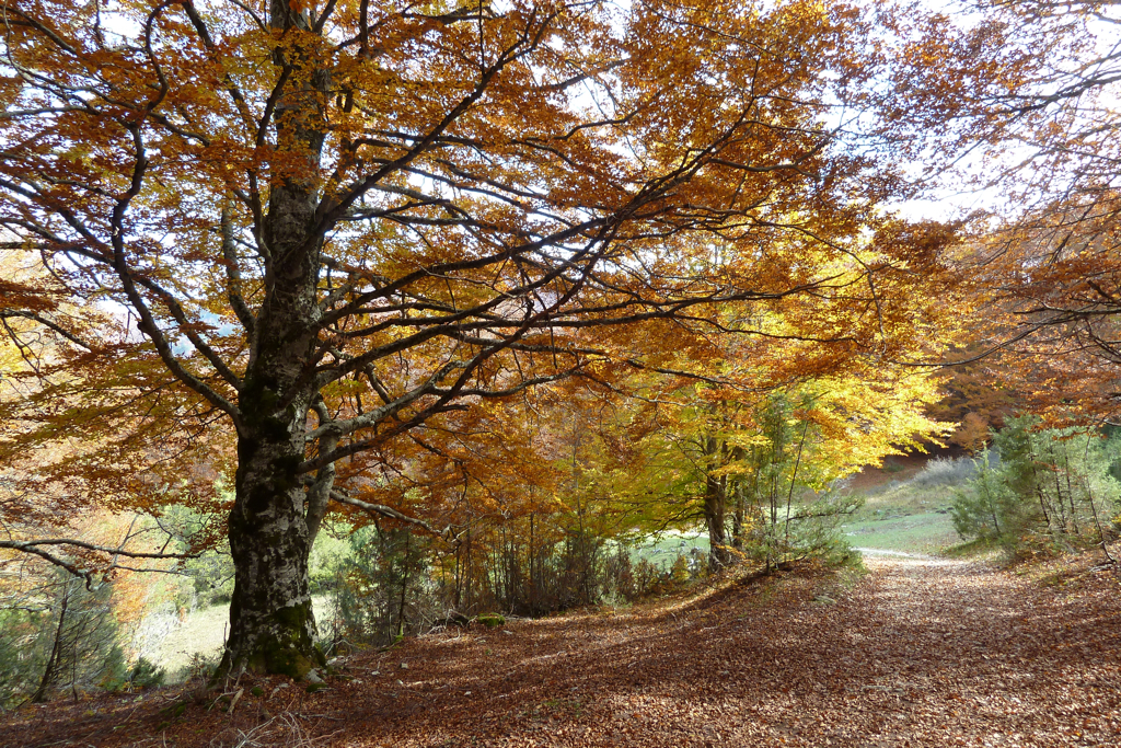 Val Fondillo
