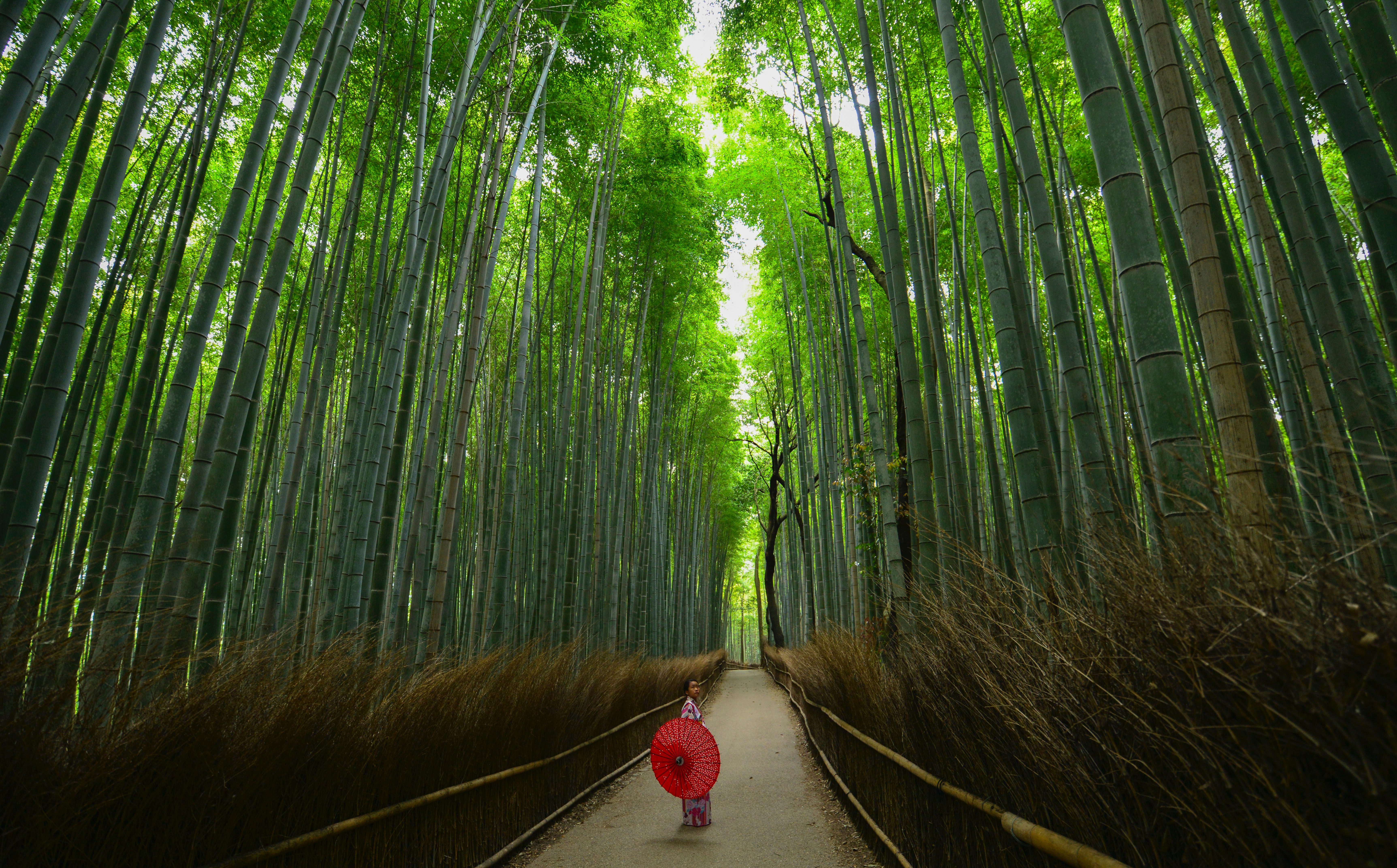 walter mario stein kqfe9mvv7xw unsplash