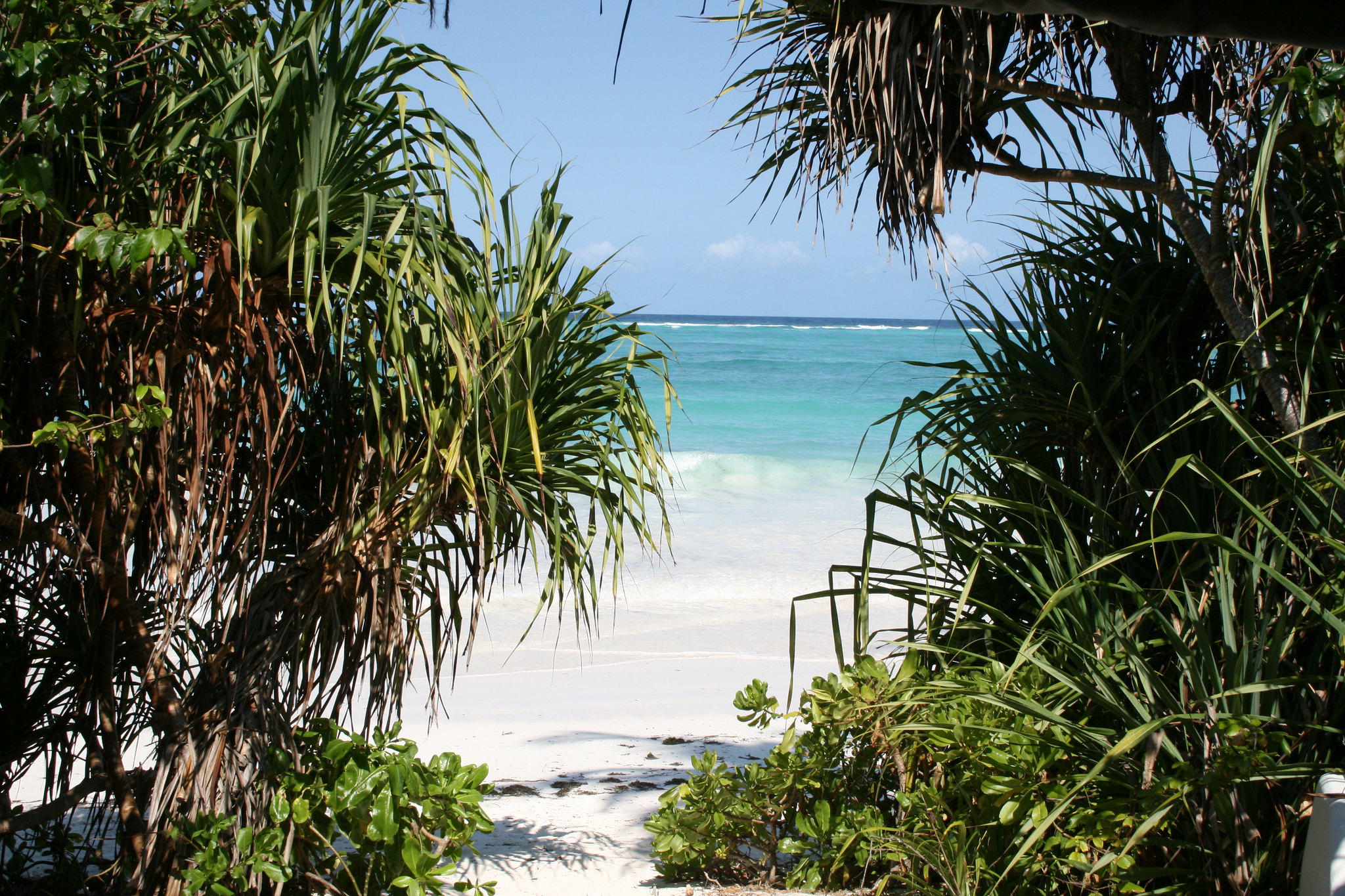 zanzibar suite