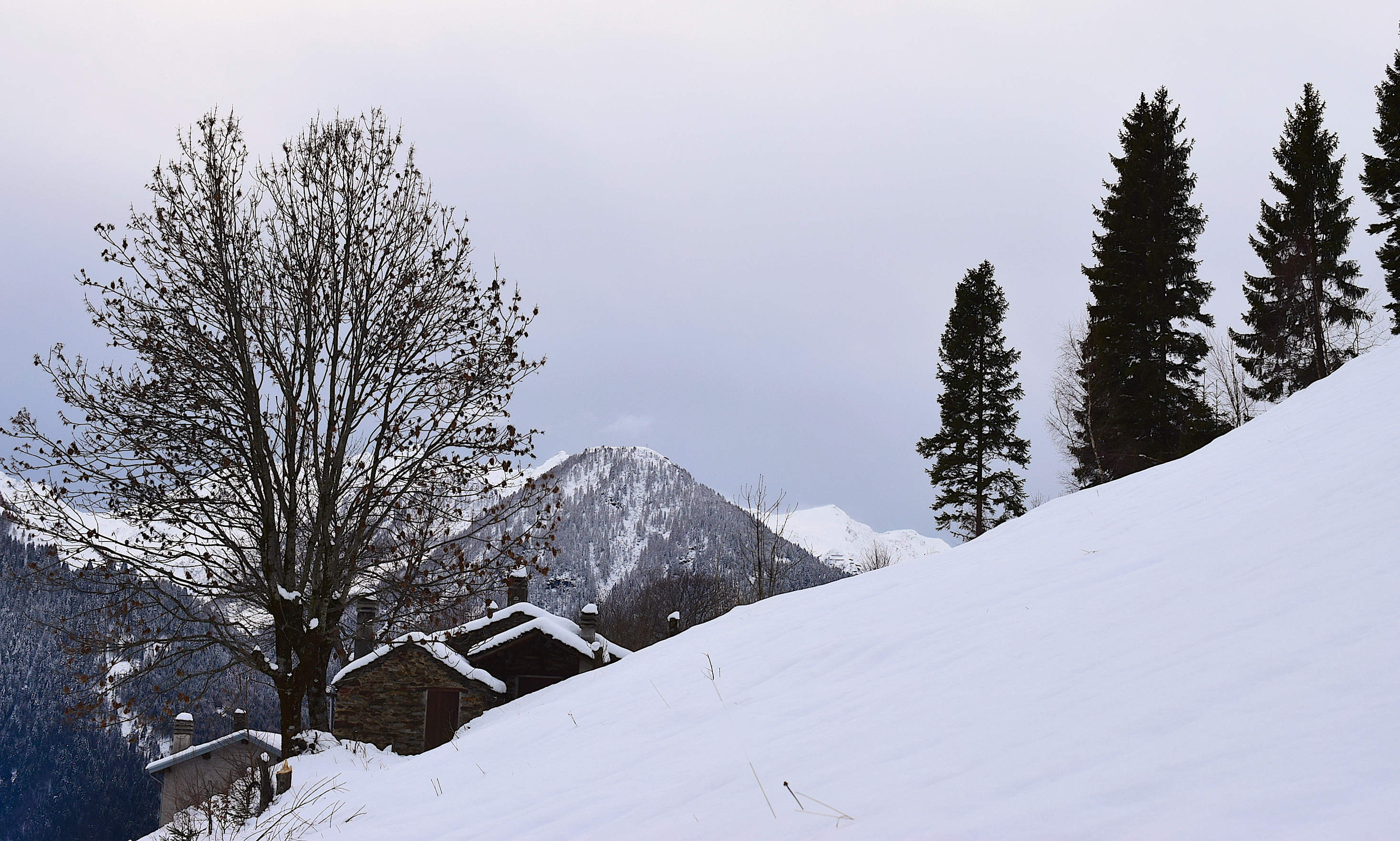 valtellina