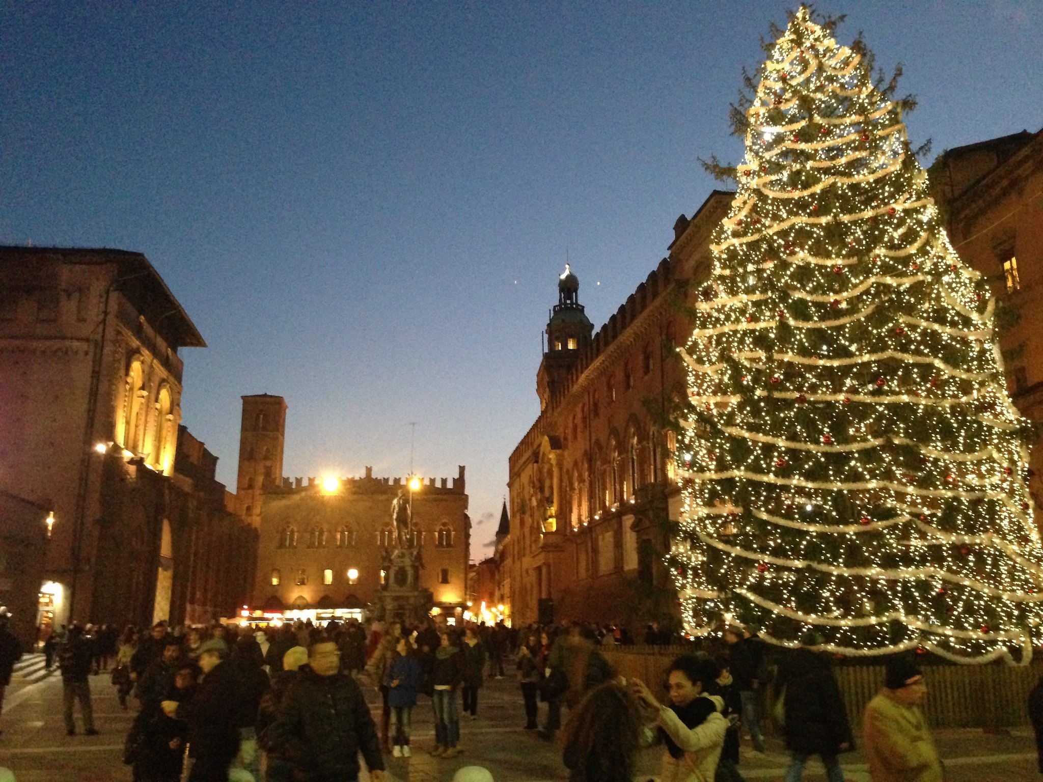 cenone bologna